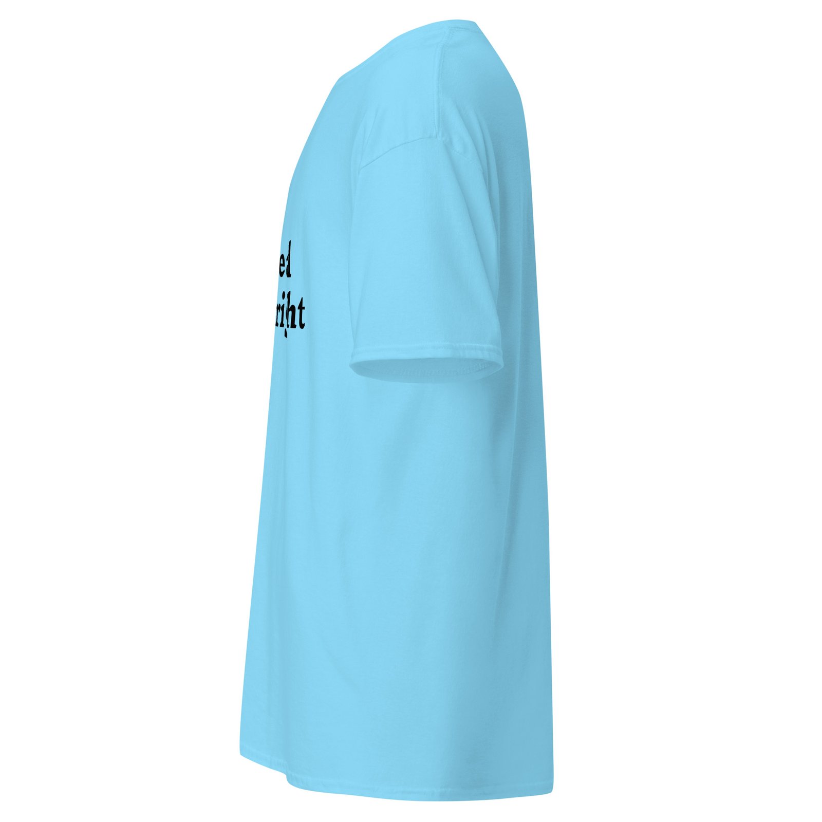 Unisex classic tee - Image 20