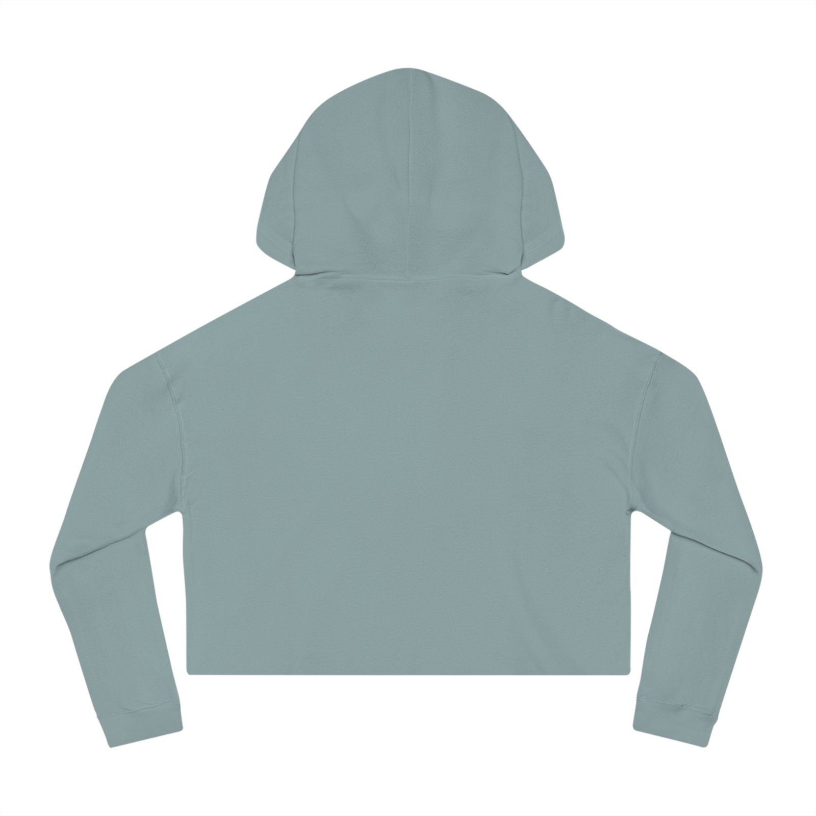 Back view of a light blue cropped hoodie with an adjustable hood and long sleeves.